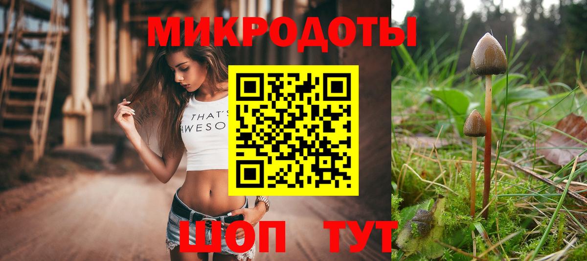 Галлюциногенные грибы ЛСД  Вход с VPN  Галлюциногенные грибы Psilocybe  Выкса 